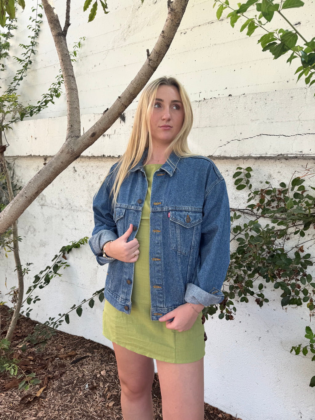 Vintage Levis USA Made Jacket