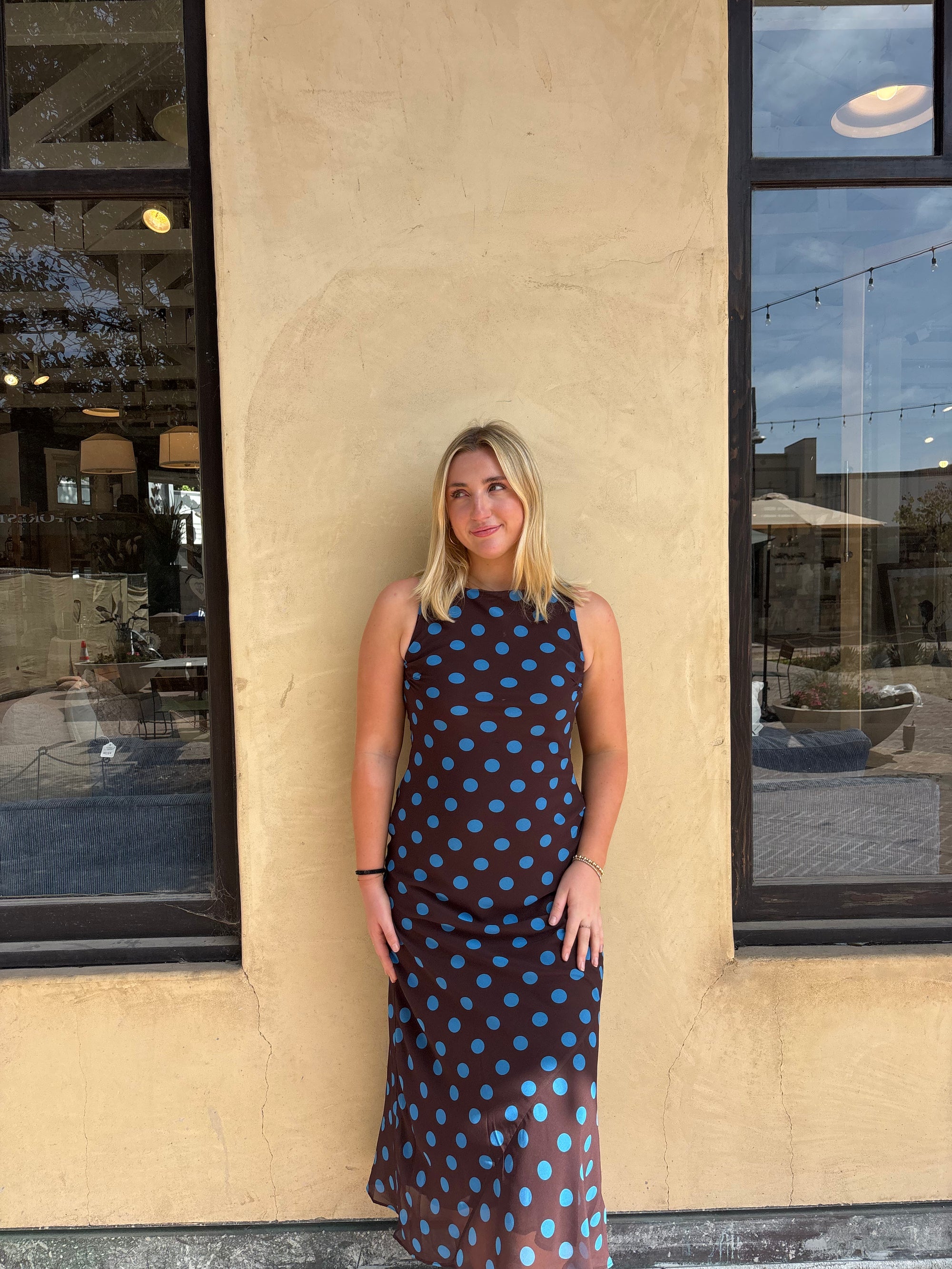 Skye Maxi Dress - Brown/Blue