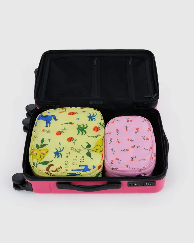 Packing Cube Set- Painted Prarie
