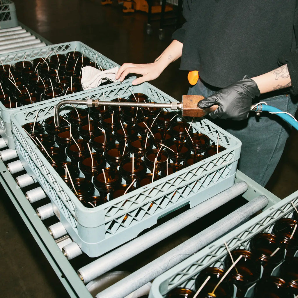 Amber Moss 7.2 oz Candle