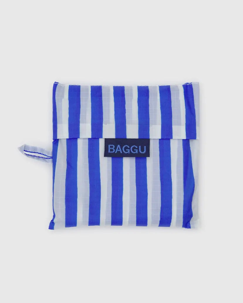 Standard Baggu- Painted Blue Stripe